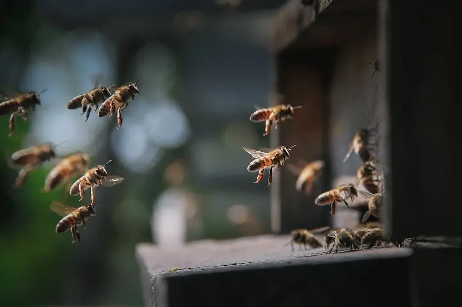 The Waggle Dance: Nature's Living GPS (Image Credits: Pexels)