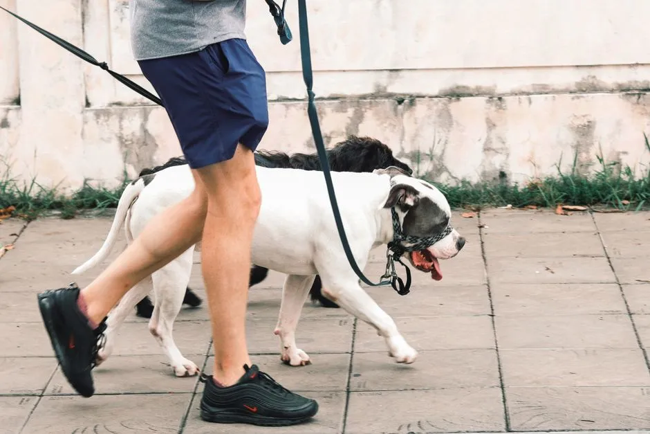 #6 - Forcing You Into a Routine, On Purpose or Not (Image Credits: Pexels)