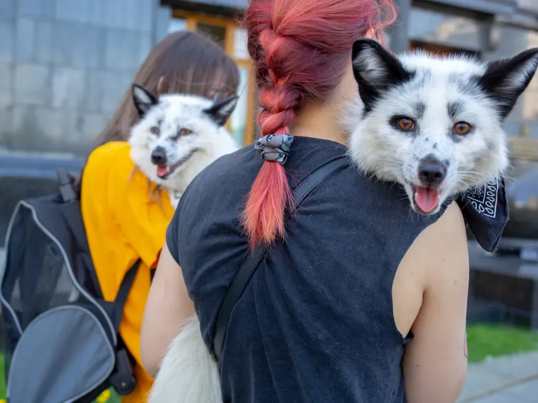 Conclusion: Kindness Is Older Than We Thought (Image Credits: Unsplash)
