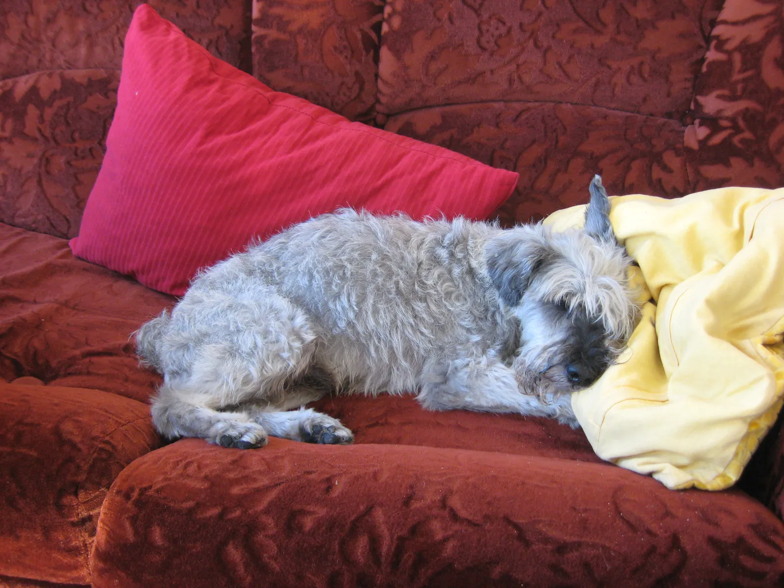 #11 - The Lazy Couch Day With Absolutely No Plans (By Gordito1869, CC BY-SA 3.0)