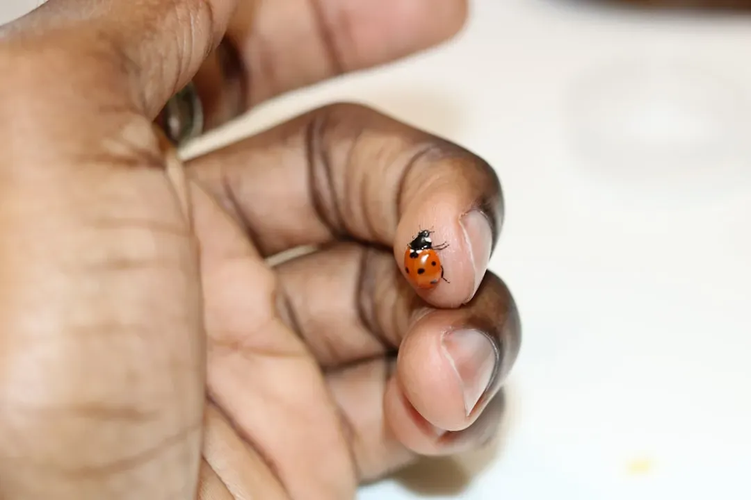5. Their Spots Serve as a Warning (Image Credits: Unsplash)