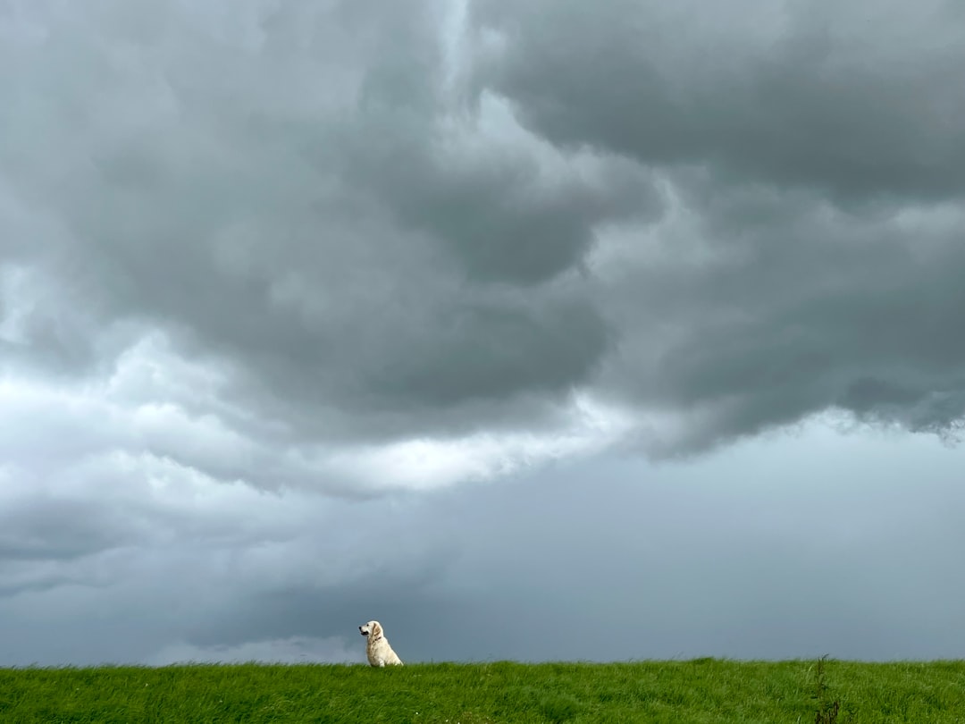 The Atmospheric Pressure Connection (Image Credits: Unsplash)
