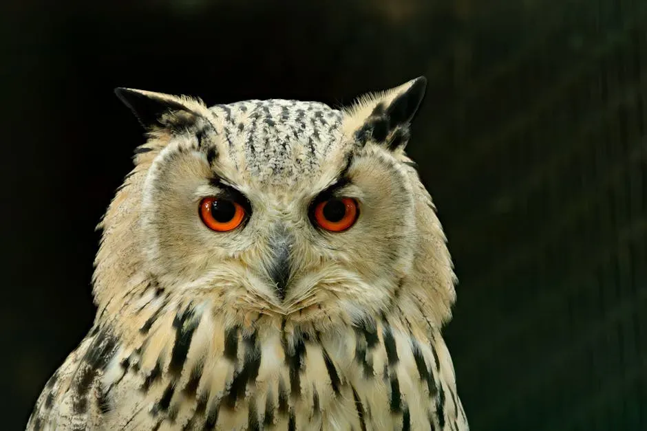 Some Owls Hunt Other Owls (Image Credits: Pexels)