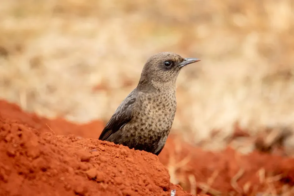 10. Over 200 Bird Species Rub Ants on Their Feathers (Image Credits: Pexels)