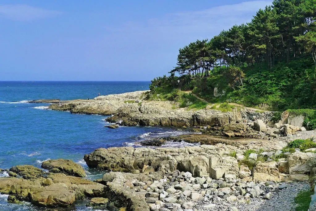 10. West Coast Trail, Vancouver Island, Canada - Beautiful, Brutal, and Unforgiving (travel oriented, Flickr, CC BY-SA 2.0)