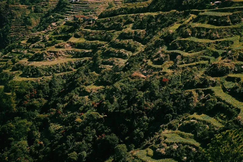 10. Think Layered Structure: Trees, Shrubs, and Ground Cover Together (Image Credits: Pexels)