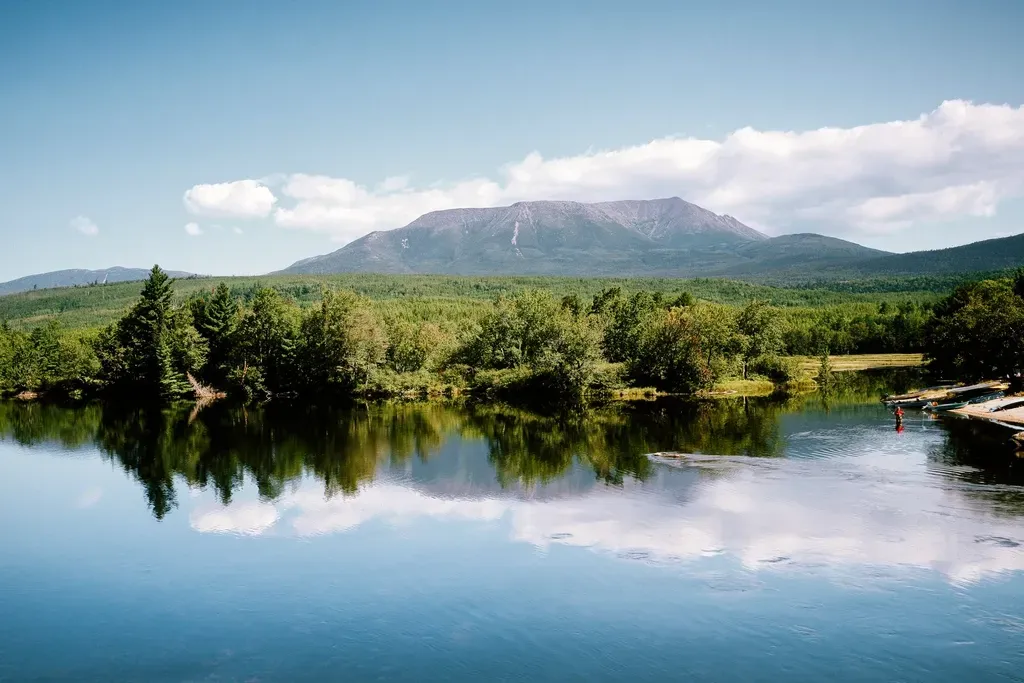 Human Impacts and Ecosystem Disruption (Image Credits: Rawpixel)