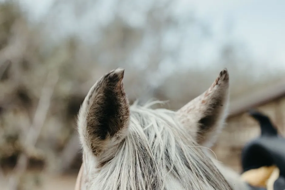 #6 &ndash; Ears That Check In Instead of Locking On (Image Credits: Pexels)