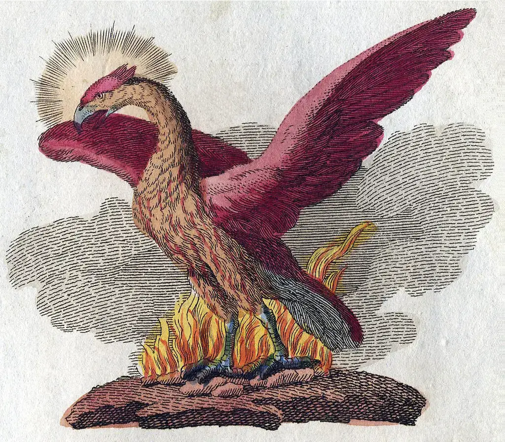 Scorpio (October 23 &ndash; November 21): The Phoenix (By Bertuch-fabelwesen.JPG: Friedrich Johann Justin Bertuch (1747&ndash;1822)
derivative work: Tsaag Valren (talk), Public domain)