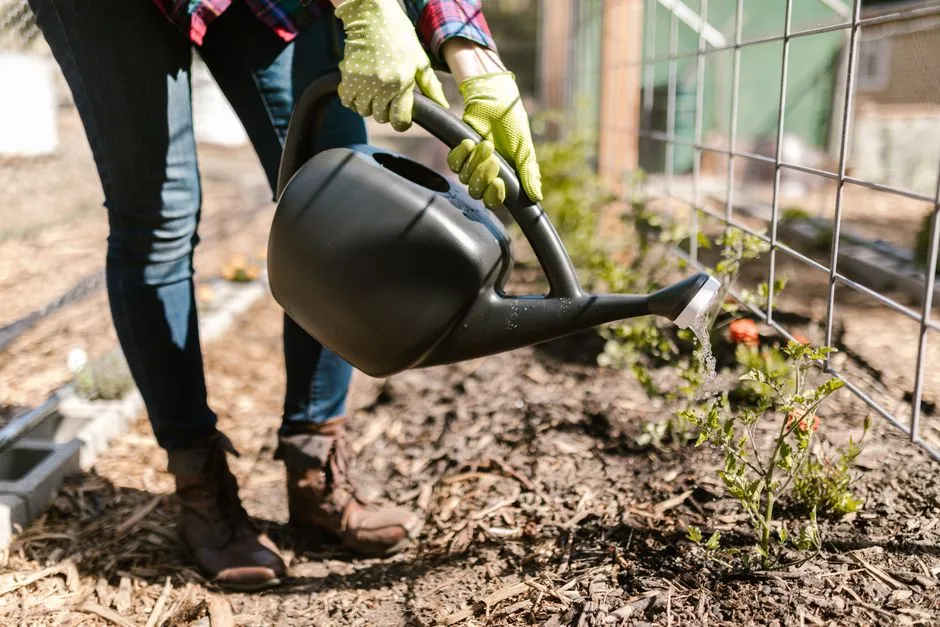 #1 - Treating Gardening as a One-Summer Project Instead of a Long Game (Image Credits: Pexels)