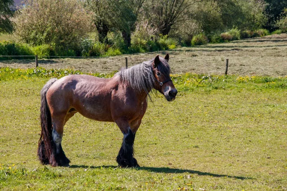 Shire (Image Credits: Pexels)