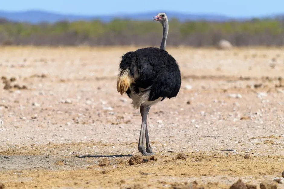 Final Thoughts: Nature's Ultimate Survivors (Image Credits: Pexels)