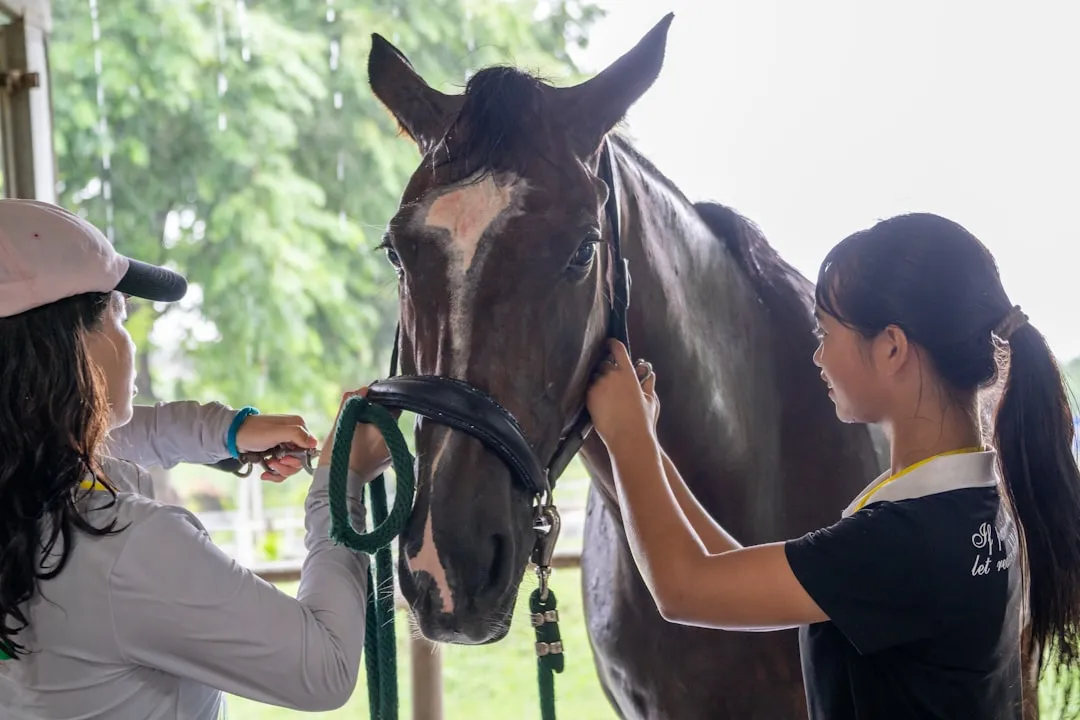 #1 - Any Breed Pushed to Extreme for Fashion or Competition (Image Credits: Unsplash)