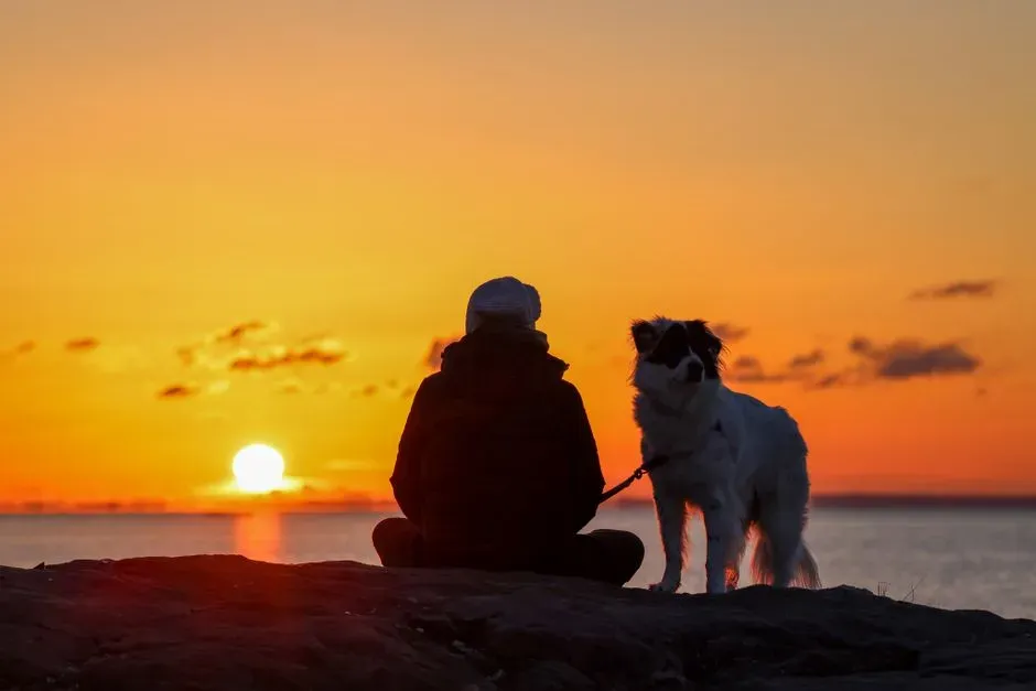 What These 13 Moments Actually Mean (Image Credits: Pexels)