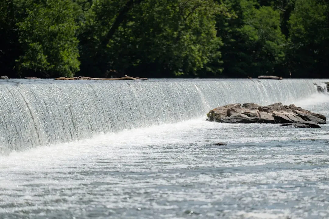 Rivers Running Freer: Dams Down, Life Back Upstream (Image Credits: Unsplash)