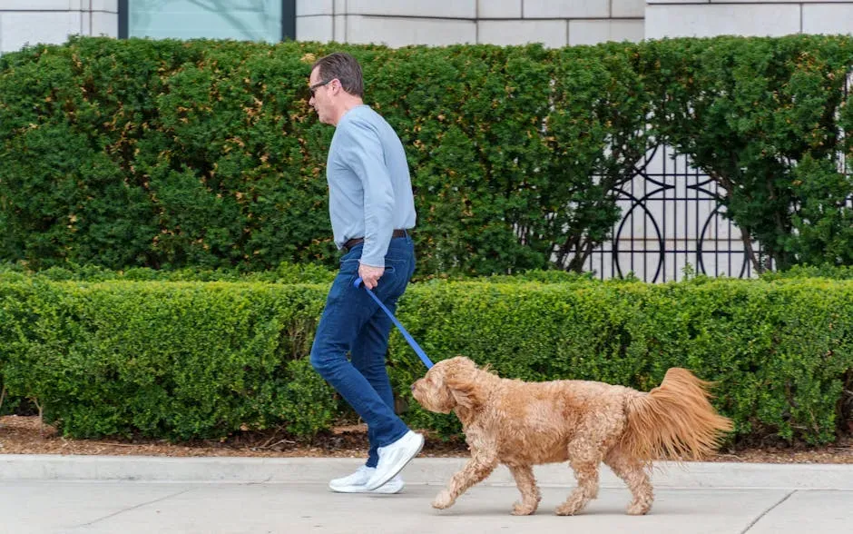 Your Brain Chemistry Actually Shifts on the Walk (Image Credits: Pexels)