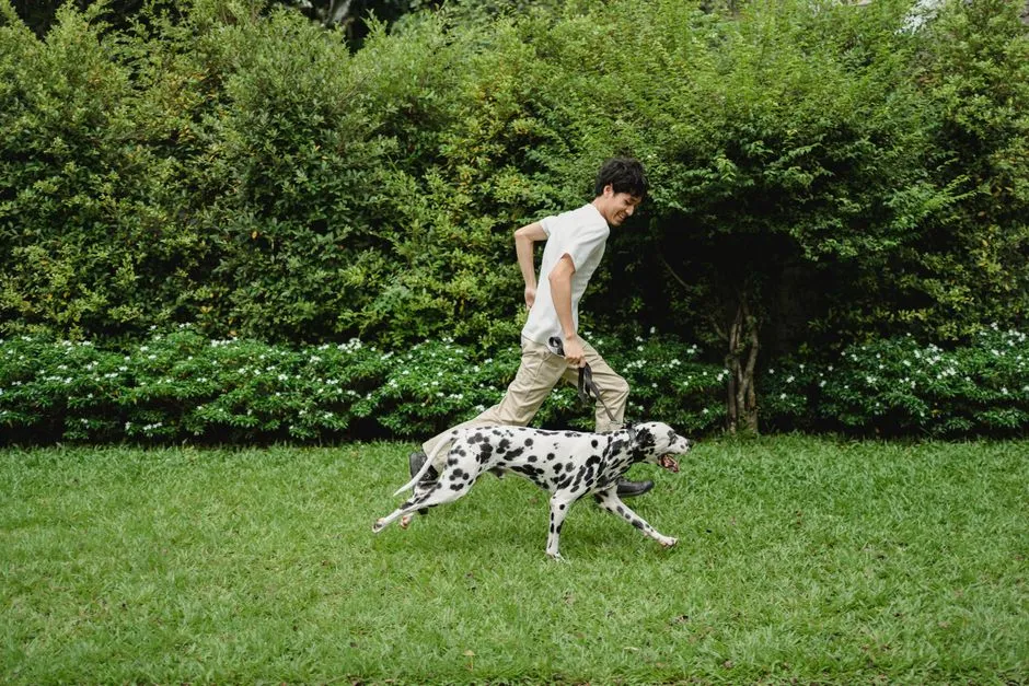 #9 - Dalmatian: High-Octane, Low-Chill (Never Settles Easily) (Image Credits: Pexels)