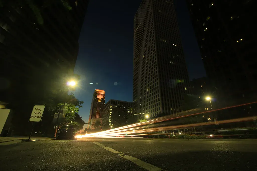 The Threats They Face: Human Impact on Night Life (Image Credits: Flickr)