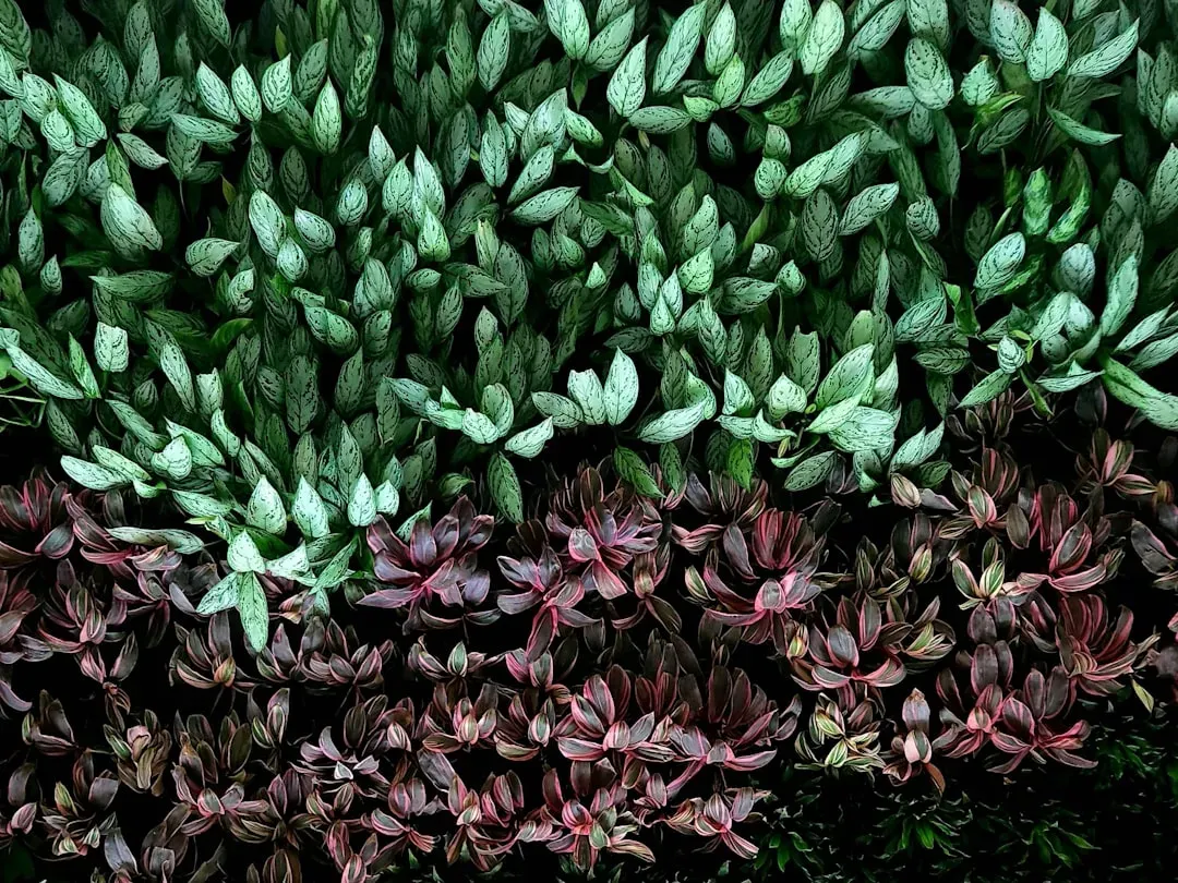 Your Plants Are Packed Too Closely Together (Image Credits: Unsplash)