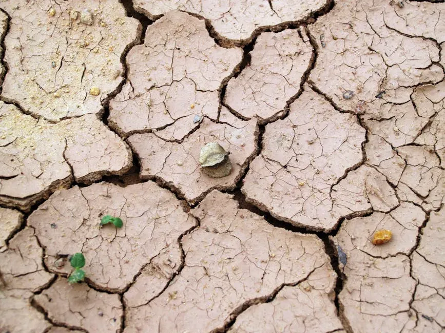 Sprinkle Diatomaceous Earth in Problem Areas (Image Credits: Pexels)