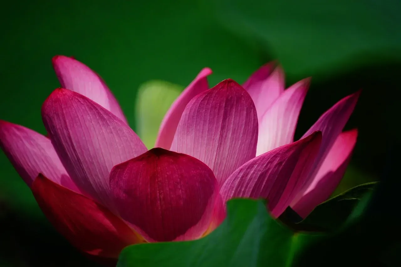 Conclusion: Small Adjustments, Big Results (Image Credits: Pixabay)