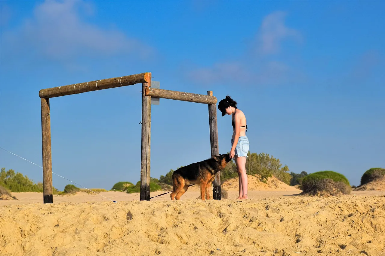 Understanding Your Dog's Communication (Image Credits: Pixabay)