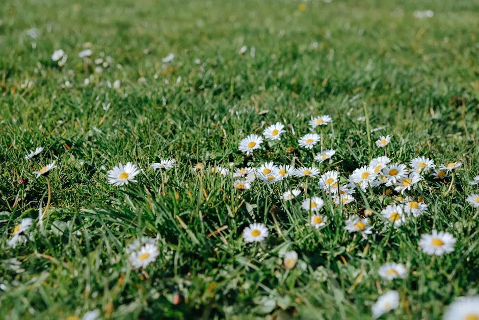 #3: Let Part of Your Lawn Grow Wild (Image Credits: Pexels)
