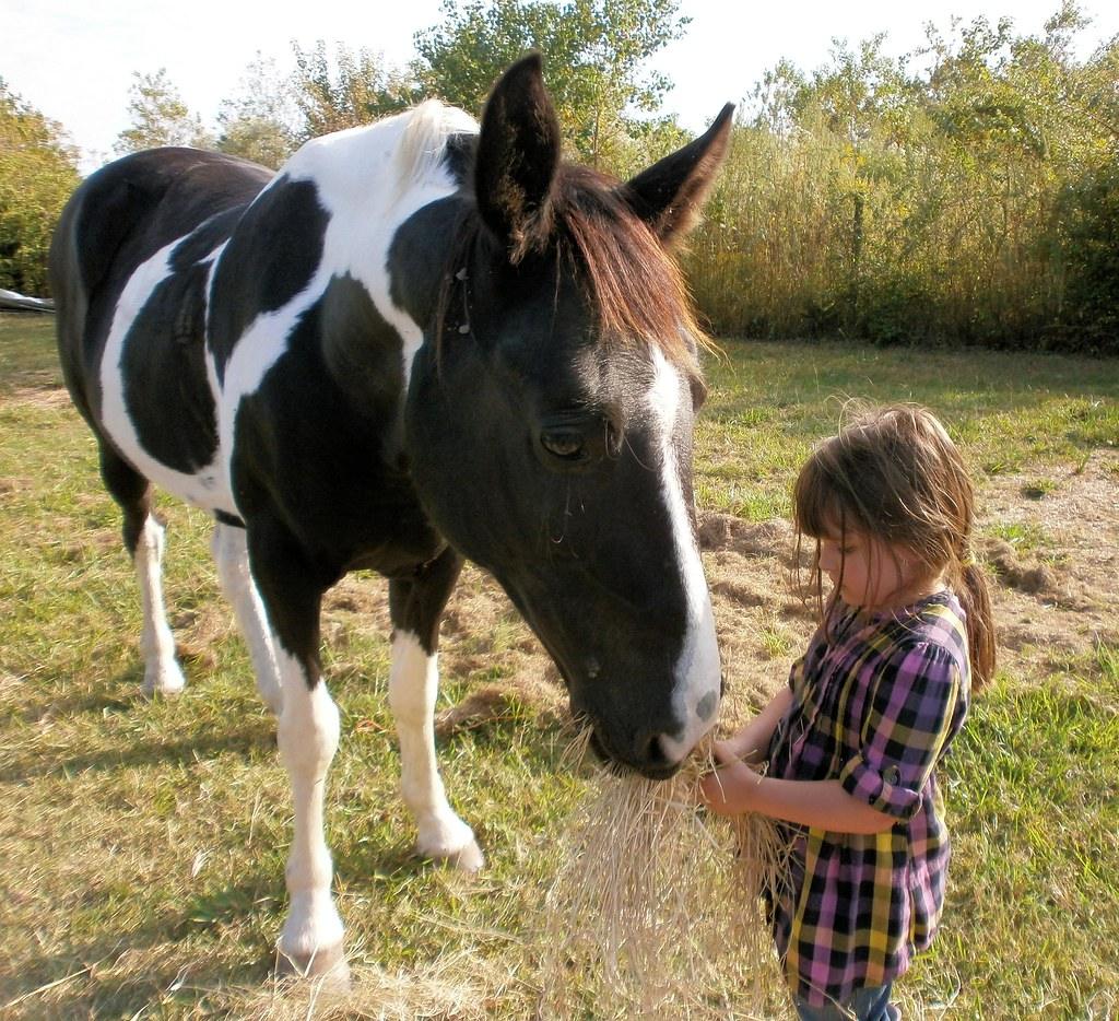 Walking with Horse Medicine Today (Image Credits: Flickr)