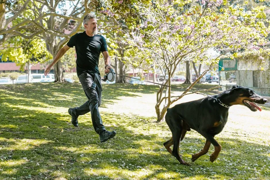 #7. Doberman Pinscher (Image Credits: Pexels)
