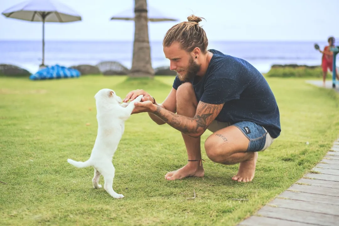 #1 - Waiting Until There's a "Big Problem" Is How Dogs Lose Their Homes (Image Credits: Unsplash)