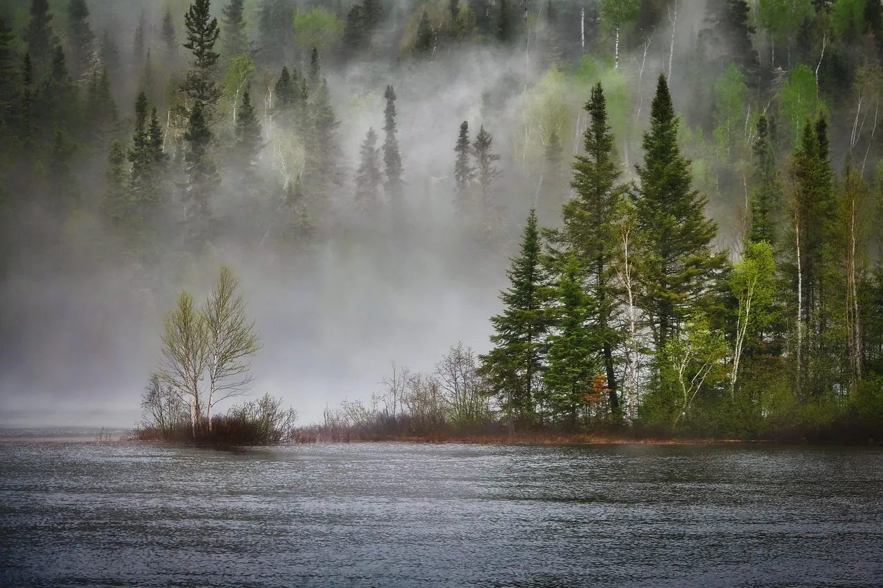 #8 - Lake Quinault, Washington (Image Credits: Pixabay)