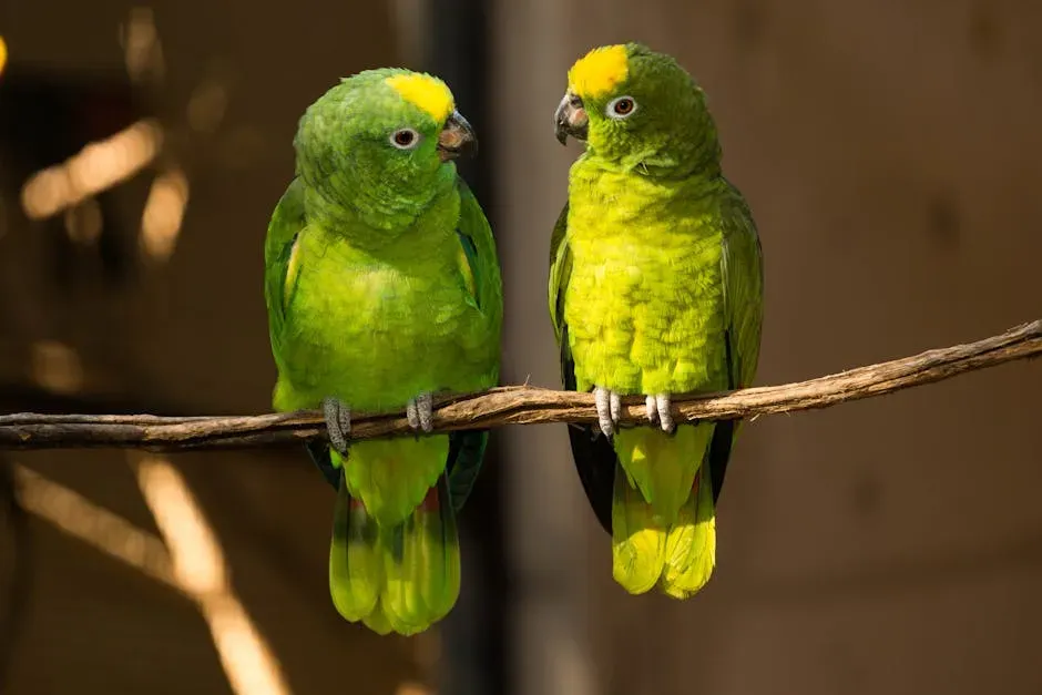 Conclusion: Feathers, Brains, and the Right Match for You (Image Credits: Pexels)