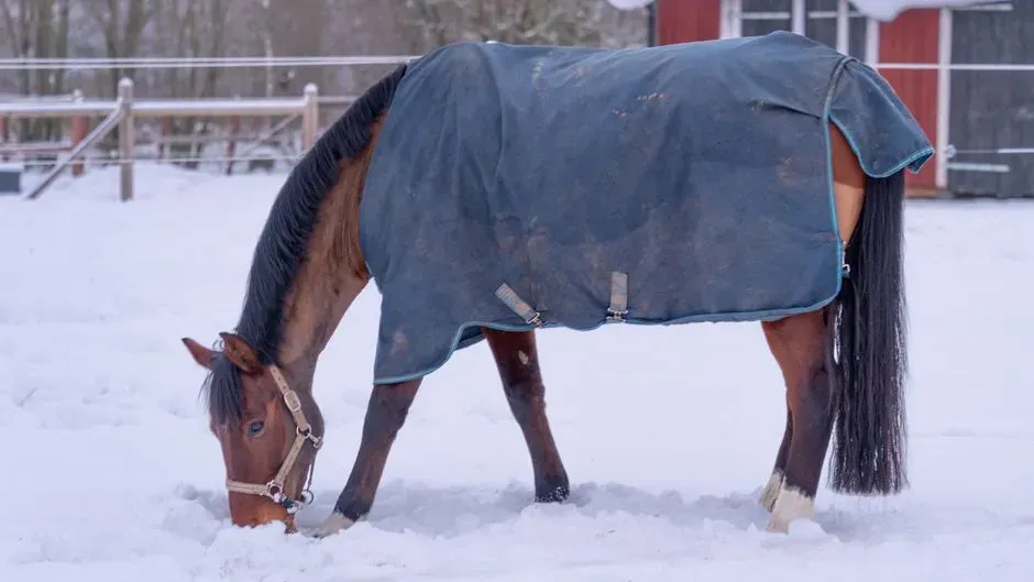 #9 - Incorrect or Excessive Blanketing (Image Credits: Pexels)