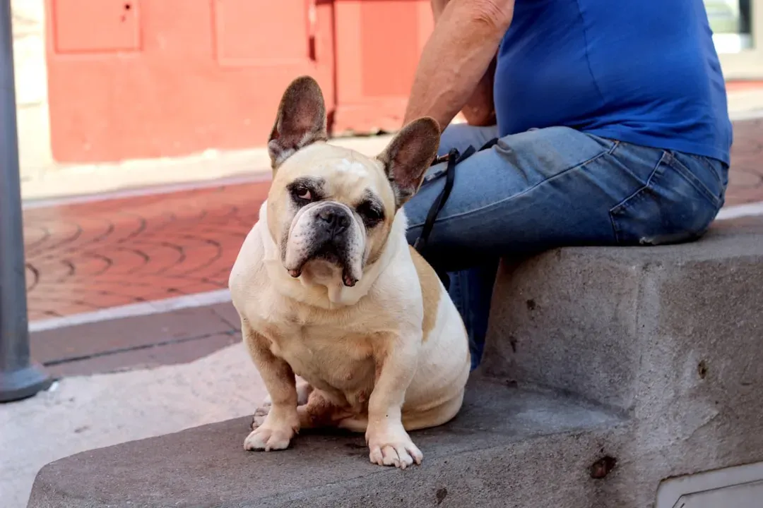 That Slow, Loving Gaze That Melts Your Heart (Image Credits: Unsplash)