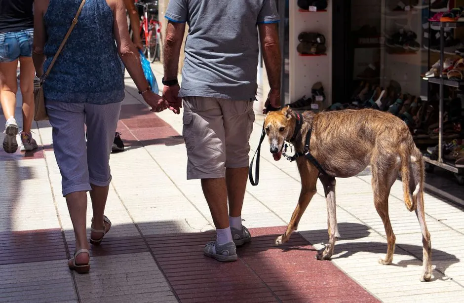 #10 - Walks Turn Into Gentle Rituals, Not Cardio Sessions (Image Credits: Pexels)