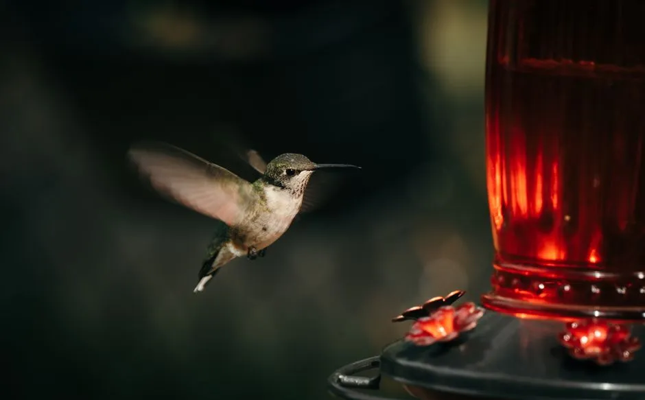 #11 - It Performs High-G "Stunt Flights" Just to Show Off (Image Credits: Pexels)