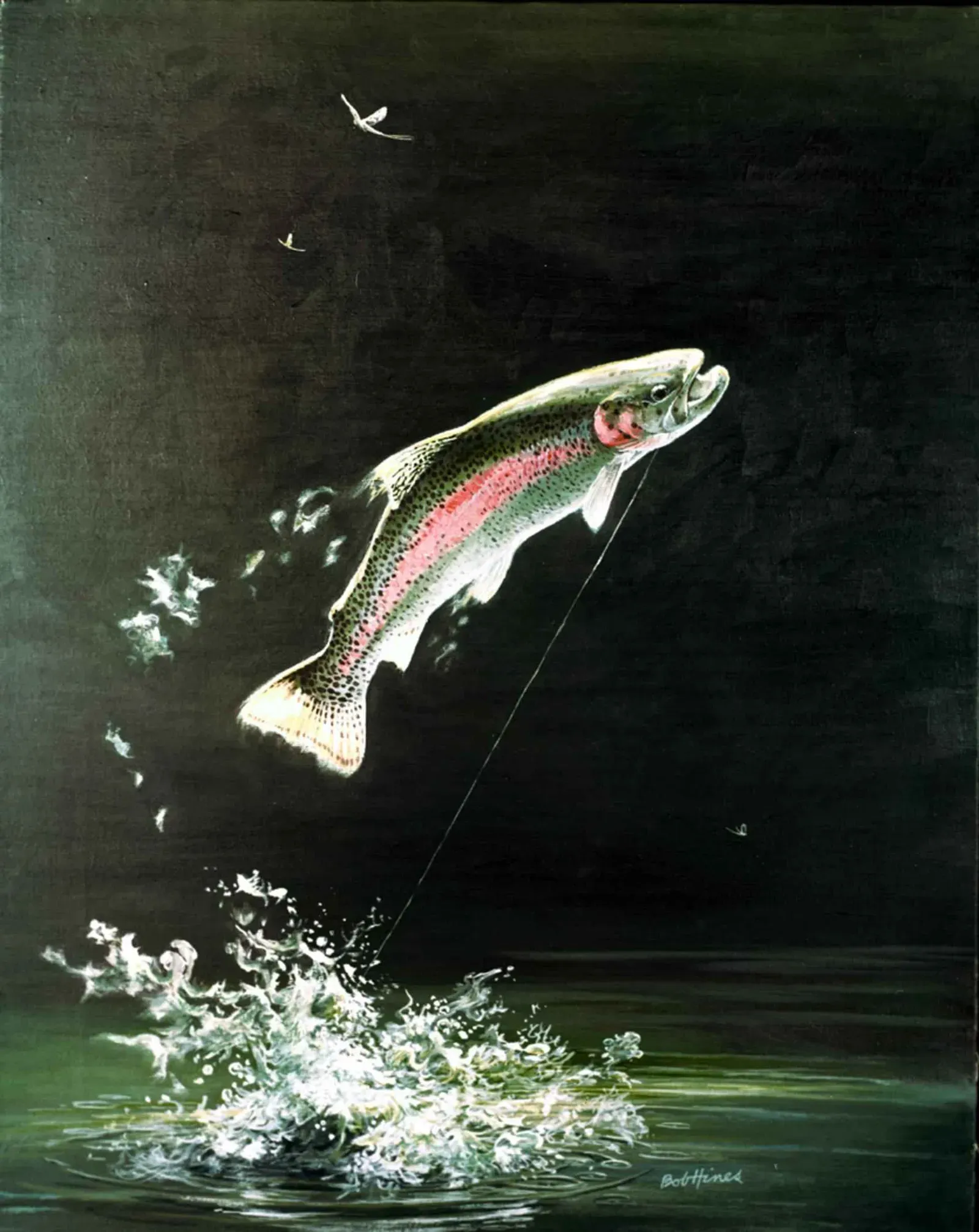 5. Kootenai River (By Hines Robert W, U.S. Fish and Wildlife Service, Public domain)