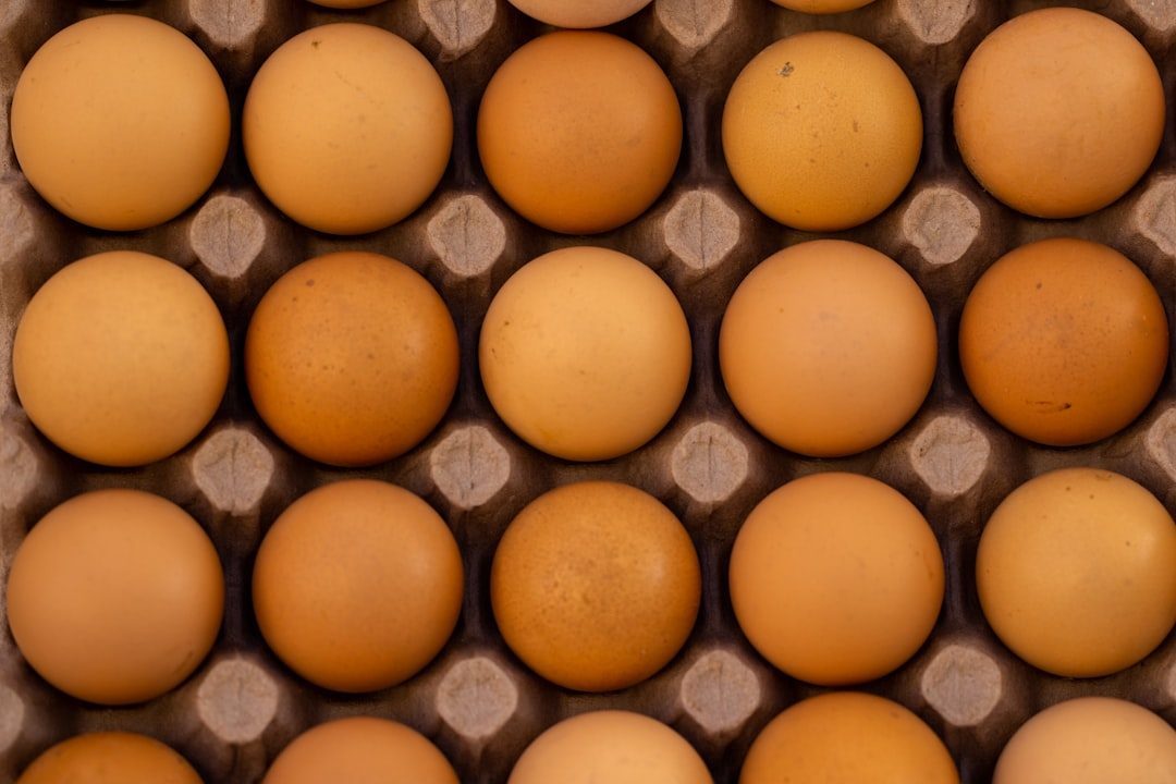 Reading the Signs: Health Monitoring Through Eggs (Image Credits: Unsplash)