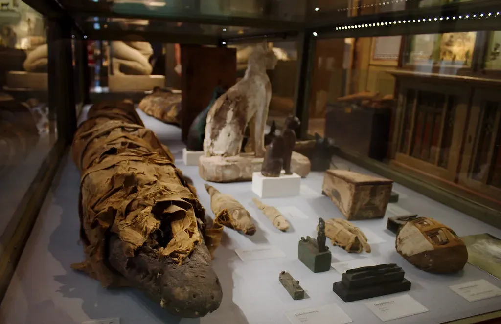A Crocodile in a Tomb: The Discovery That Raised Eyebrows (tribp, Flickr, CC BY 2.0)
