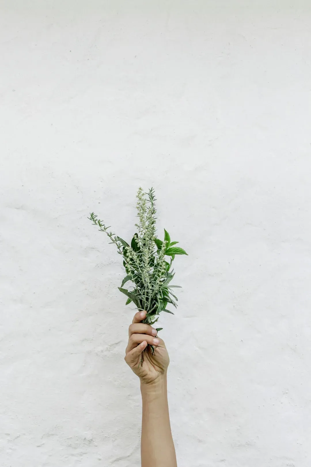 Tea Tree Oil (Image Credits: Unsplash)