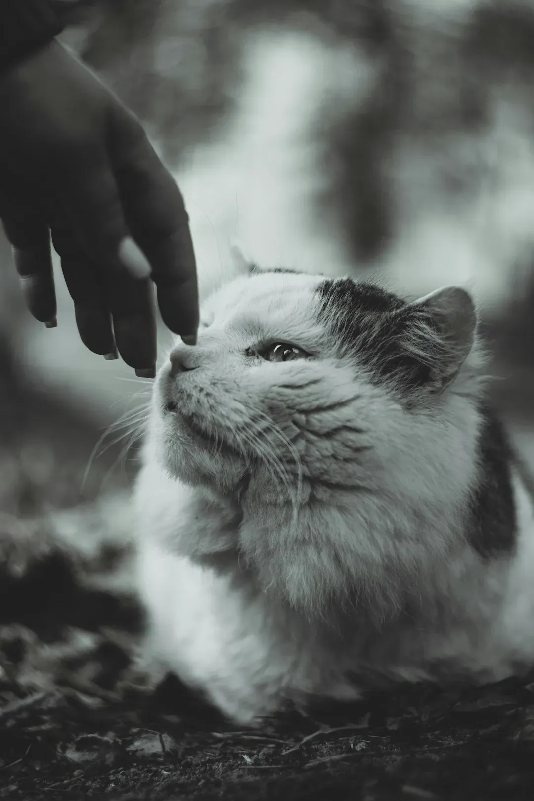 3. Turn "Clobber" Moments Into Intentional Connection (Image Credits: Unsplash)
