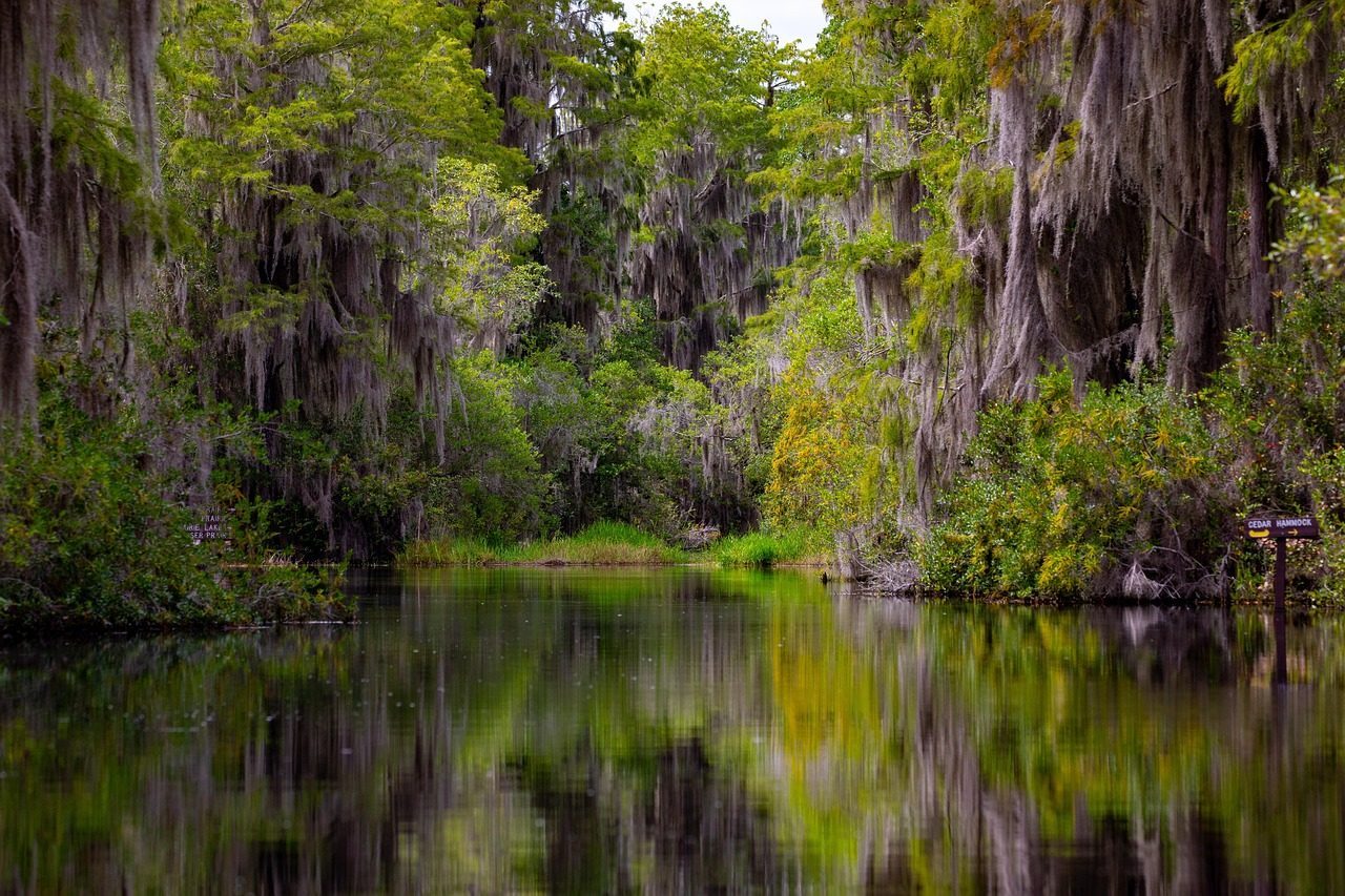 Okefenokee National Wildlife Refuge - Georgia's Mysterious Swampland (Image Credits: Pixabay)