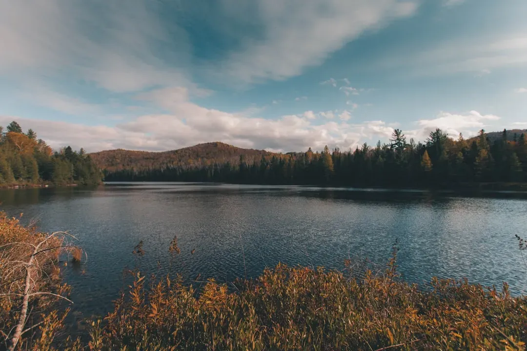 Climate Resilience: Wild Lands as a Living Safety Net (Image Credits: Unsplash)