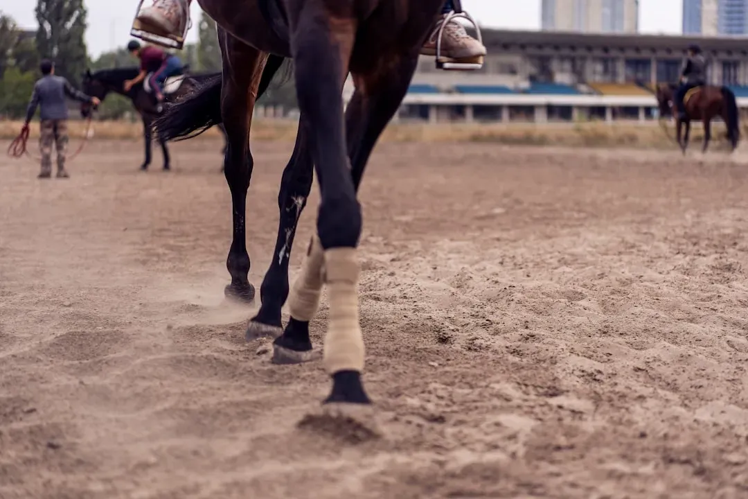 Dismissing Minor Wounds Below the Knee (Image Credits: Unsplash)
