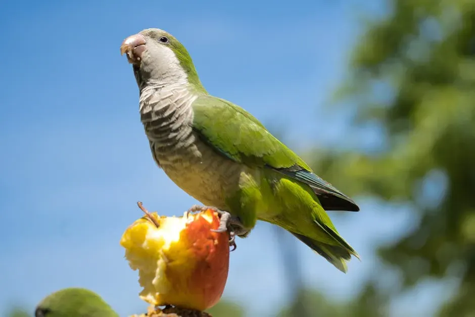 4. Fruit Pits and Apple Seeds: Danger Hiding Inside Something Healthy (Image Credits: Pexels)