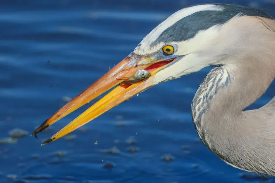 The Art of Standing Still: A Hunting Strategy Built on Patience (Image Credits: Pexels)