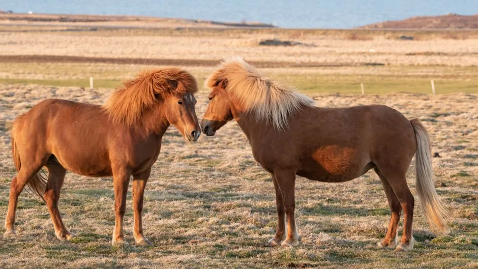 3. The Personality Reversal Nobody Wants to Admit (Image Credits: Pexels)