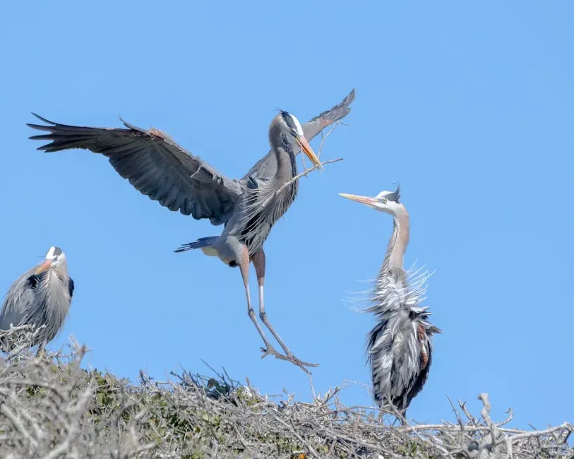 Embrace a Little Wildness: Brush Piles and Snags (Image Credits: Pexels)