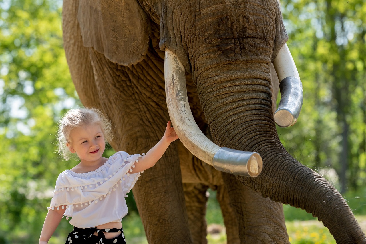 Elephants: The Ultimate Memory Champions (Image Credits: Pixabay)
