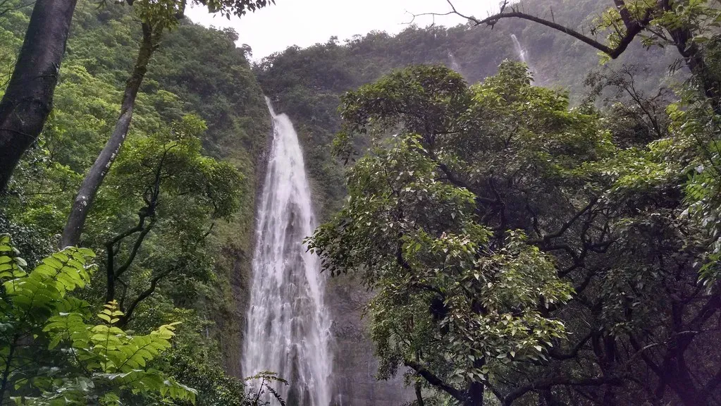 Pipiwai Trail (MarkDoliner, Flickr, CC BY-SA 2.0)